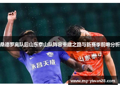 桑德罗离队后山东泰山队阵容重建之路与新赛季前瞻分析