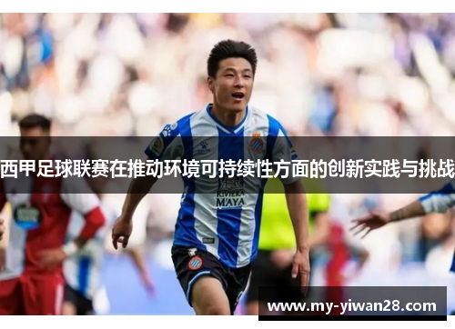 西甲足球联赛在推动环境可持续性方面的创新实践与挑战